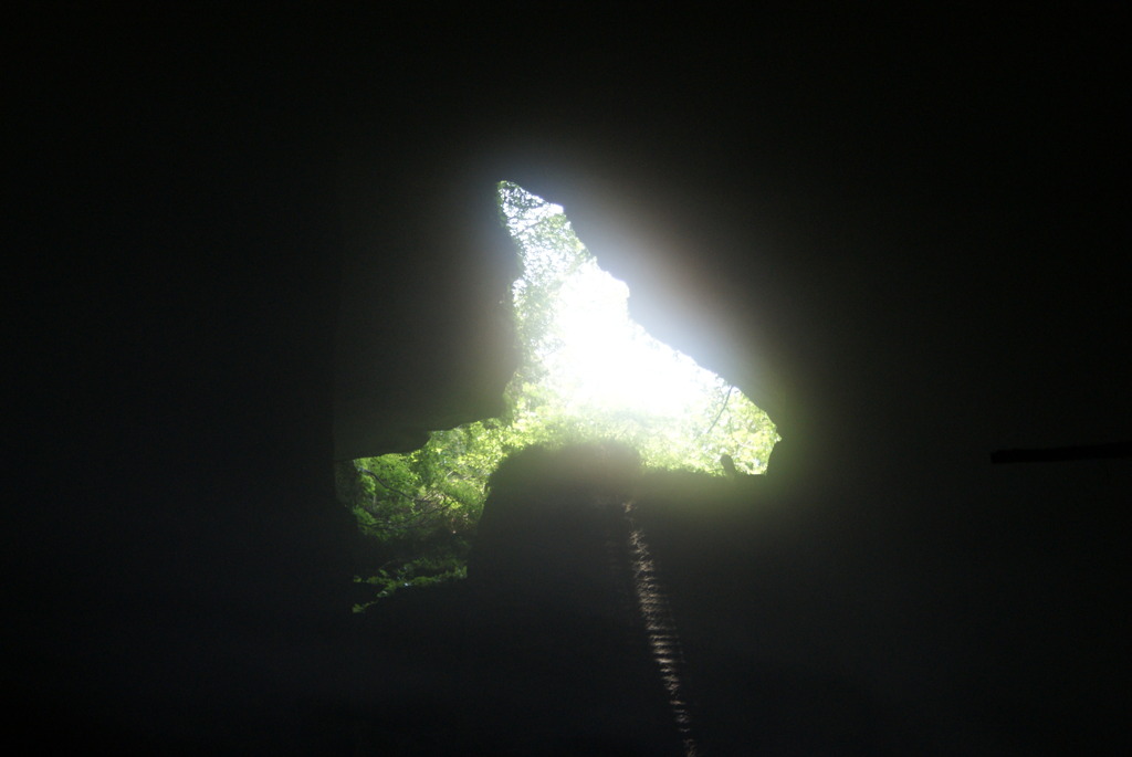 光のあるほうへ