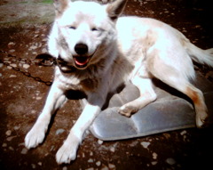 もぅ・・・なぁに？