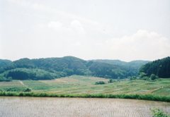 国道４９号沿いにて。