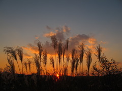 夕日百景