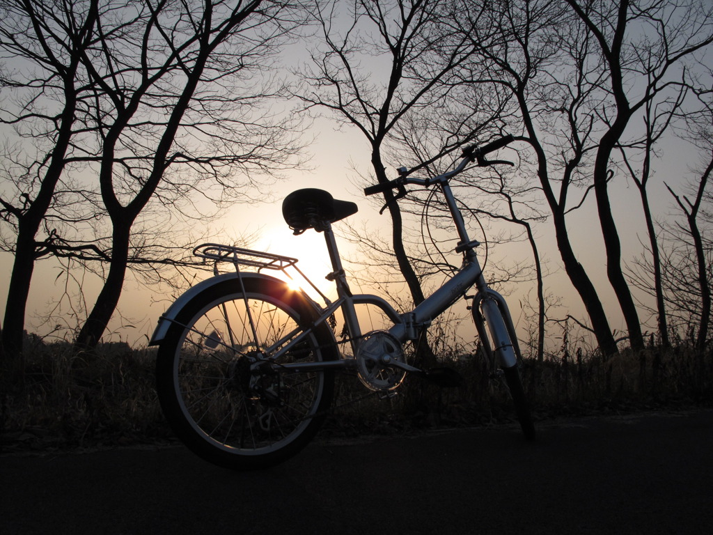 夕日に向かって走れ！