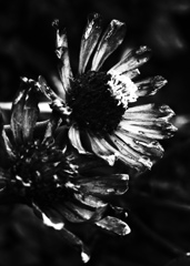 DSC04797
