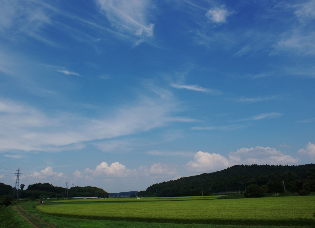 むせ返す夏雲。