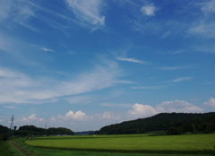 むせ返す夏雲。