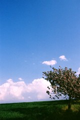 FH000022
