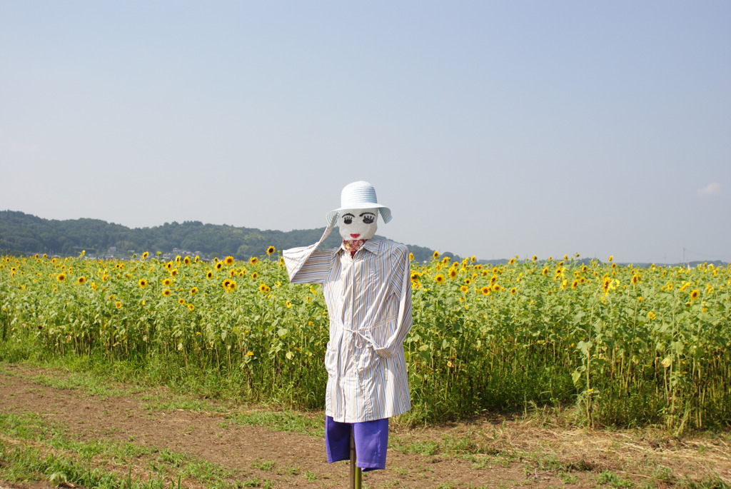 暑い中ご苦労様です。