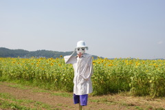 暑い中ご苦労様です。