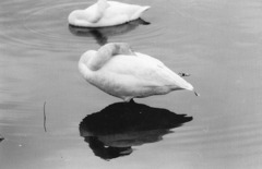 思いのほか寒い