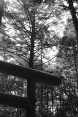 Jizouin　in　mashiko