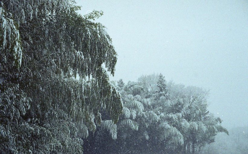 雪の音