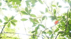 緑の中に・・・