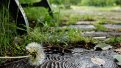 ベンチの下から