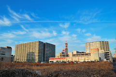 DSC_0010