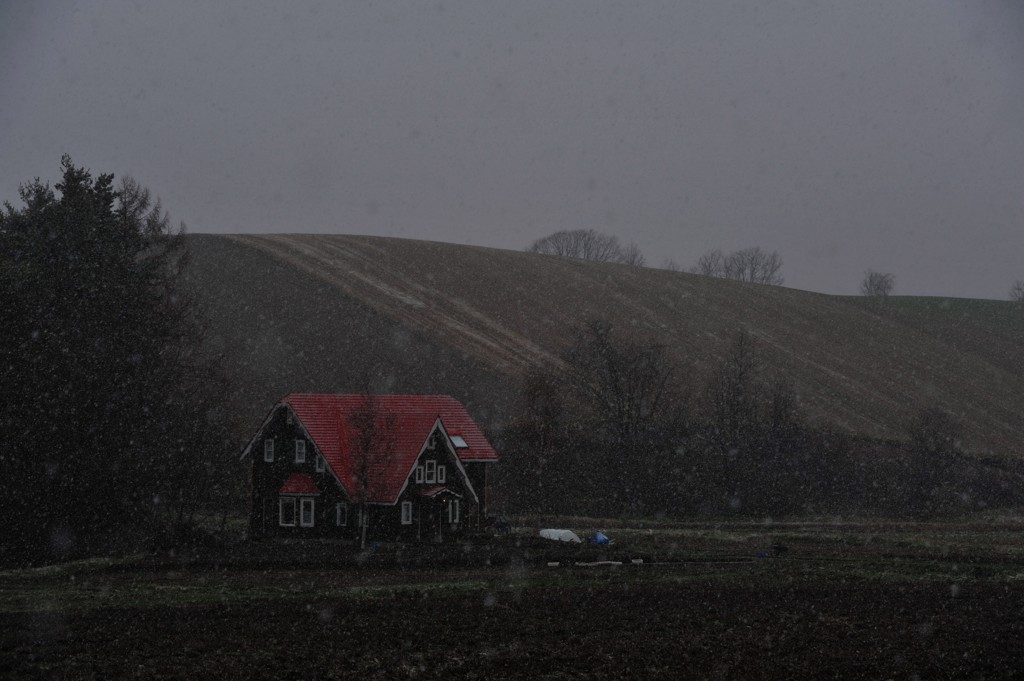 SPRING SNOW