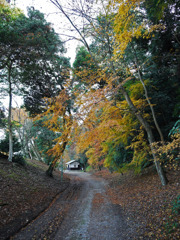 彦根城　庭園