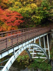 橋紅葉