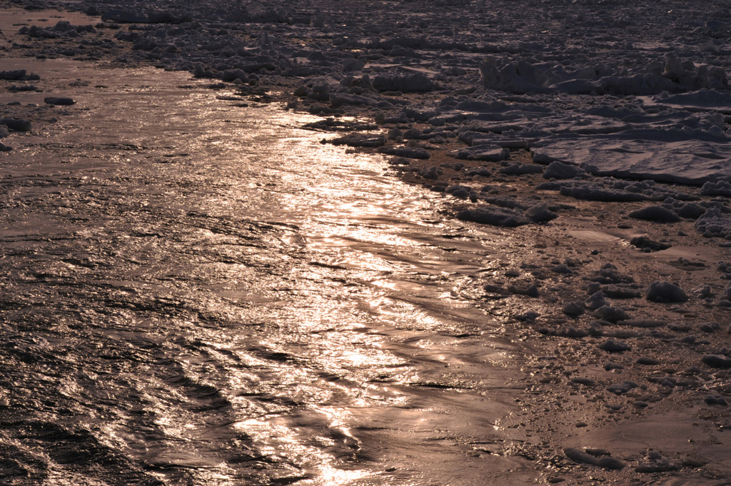 輝く流氷