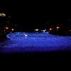 BLUE湿原