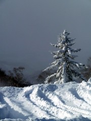 峠の雪