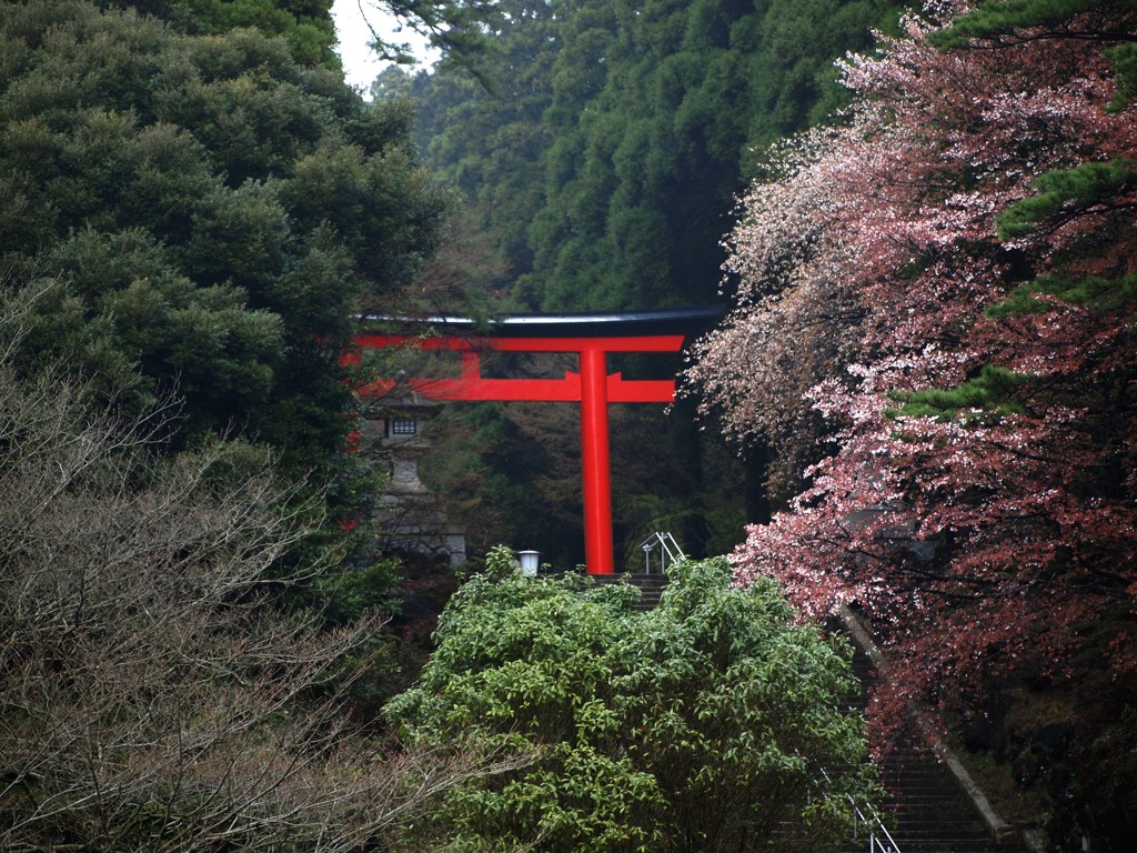 霧島神社