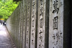 金比羅