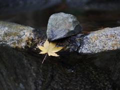 崖ぶち