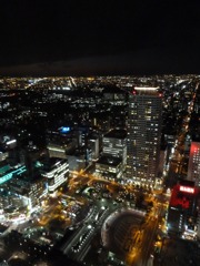 １９０万都市夜景