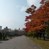 大通り公園の紅葉