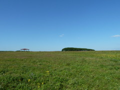 さすが北海道