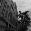 暑いので閑散としてます。