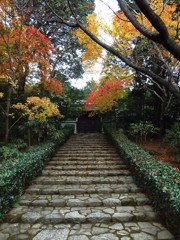 山寺紅葉