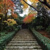 山寺紅葉