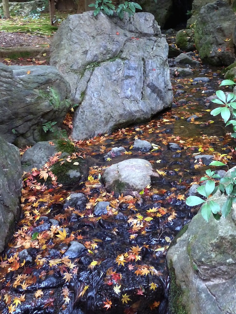 もみじ川