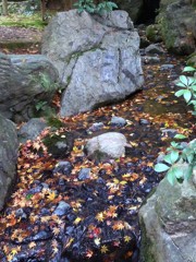 もみじ川