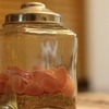 桜貝その２