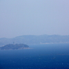 相模湾の鯨