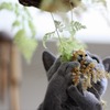キャッチ