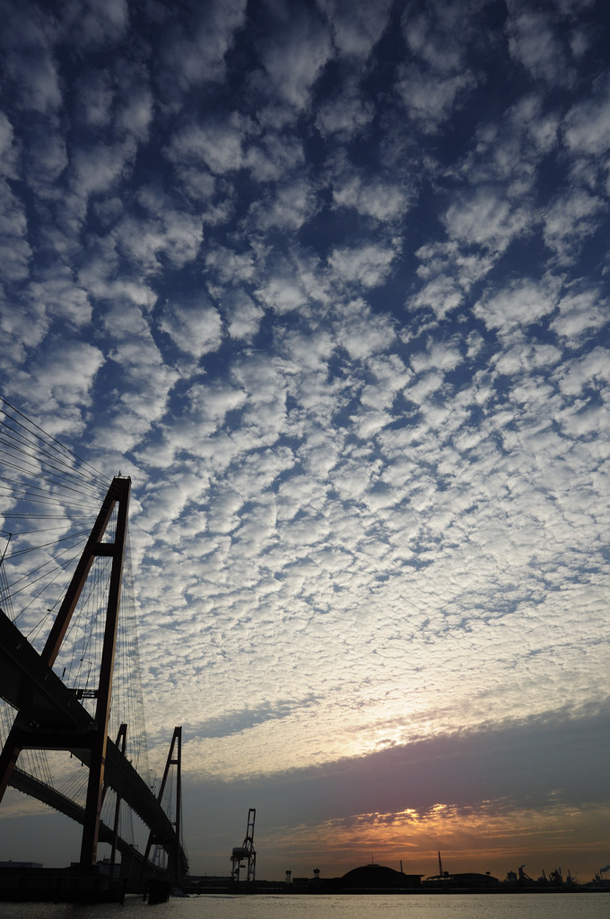 雲マニア