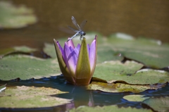 20120805-IMG_1219-2_R