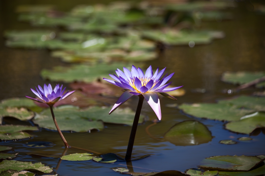 20120805-IMG_1212-2_R