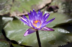 20120805-IMG_1193-2_R