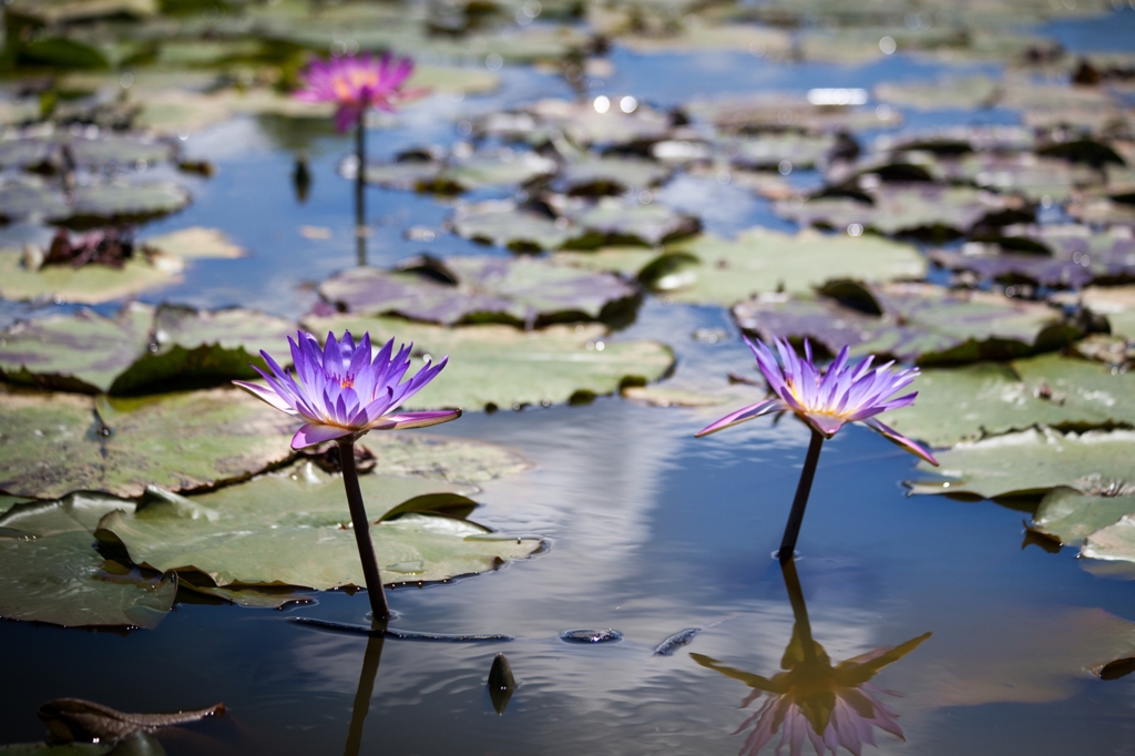 20120805-IMG_1197-2_R