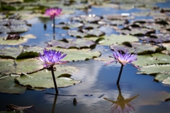 20120805-IMG_1197-2_R