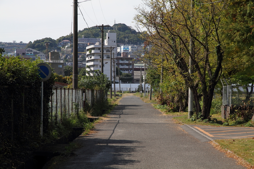 暖かい日差し