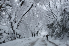 続雪のトンネル