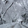続雪のトンネル