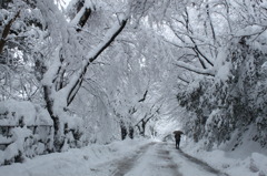 続々雪のトンネル