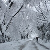 続々雪のトンネル