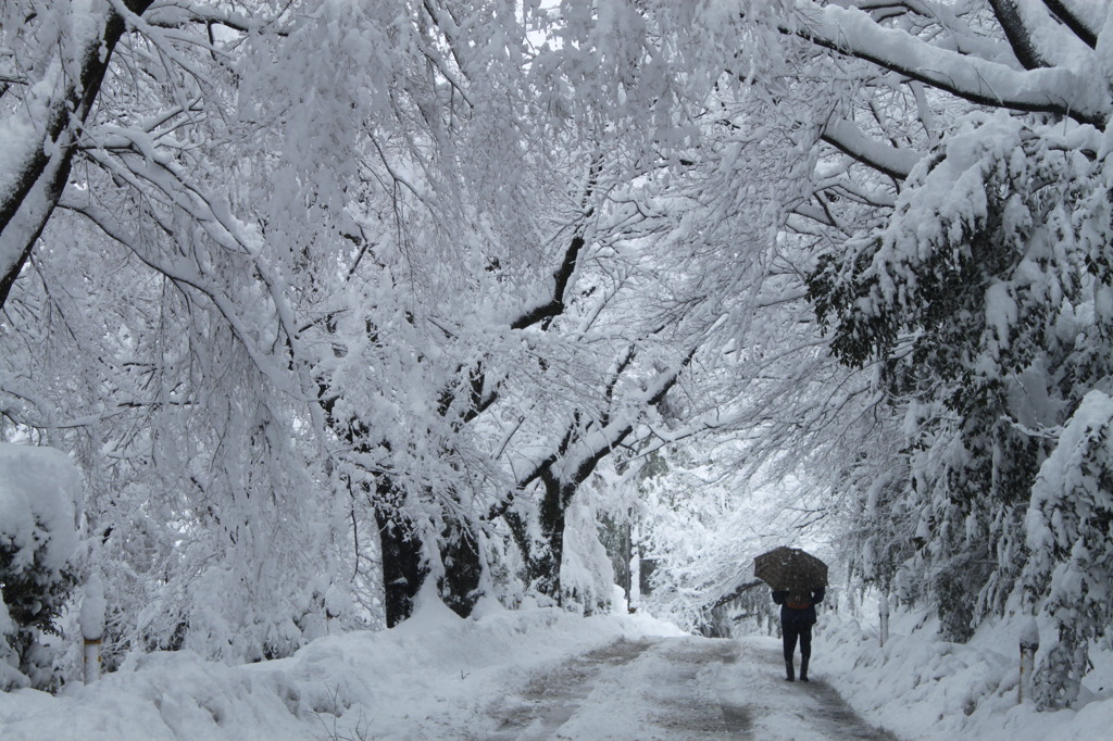 雪のトンネル