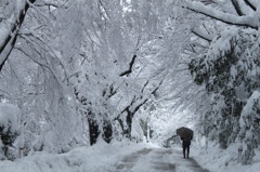 雪のトンネル